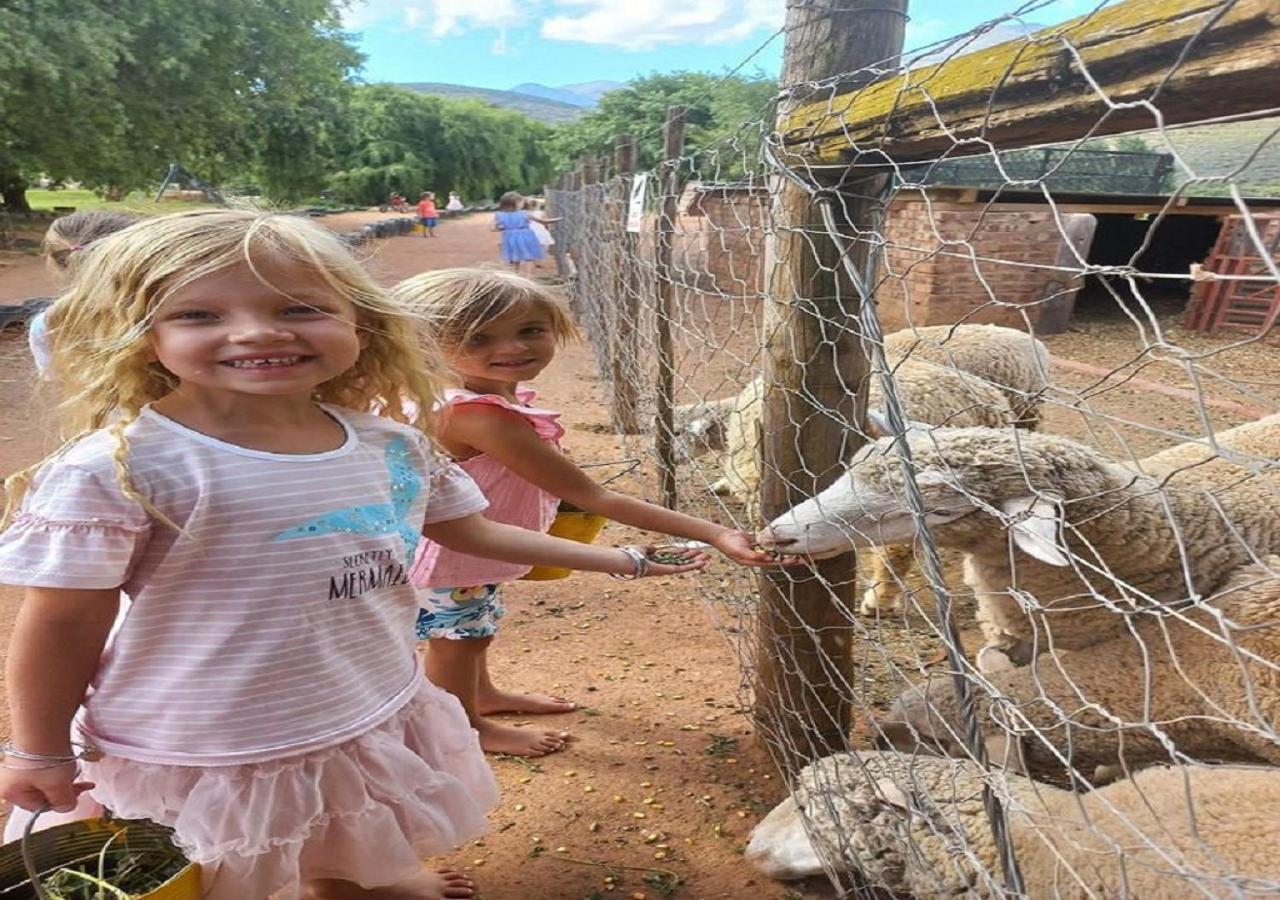 Wilgewandel Holiday Farm & Day Restaurant Oudtshoorn Εξωτερικό φωτογραφία
