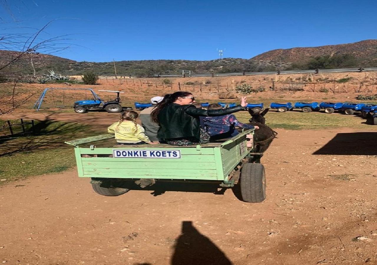 Wilgewandel Holiday Farm & Day Restaurant Oudtshoorn Εξωτερικό φωτογραφία