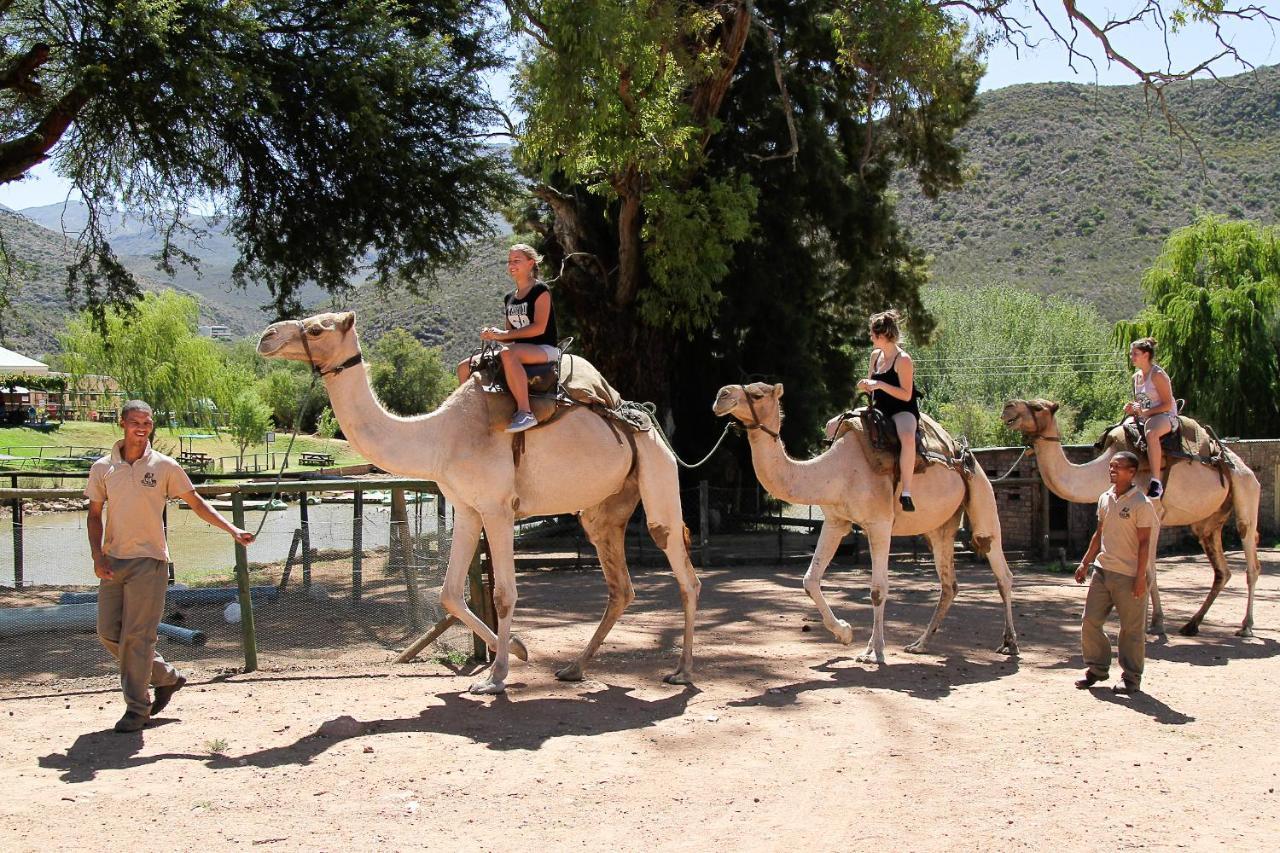 Wilgewandel Holiday Farm & Day Restaurant Oudtshoorn Εξωτερικό φωτογραφία