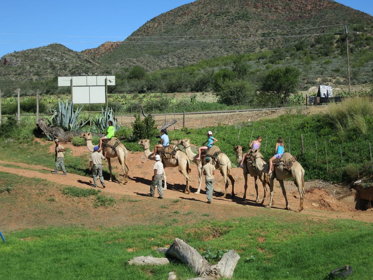 Wilgewandel Holiday Farm & Day Restaurant Oudtshoorn Εξωτερικό φωτογραφία