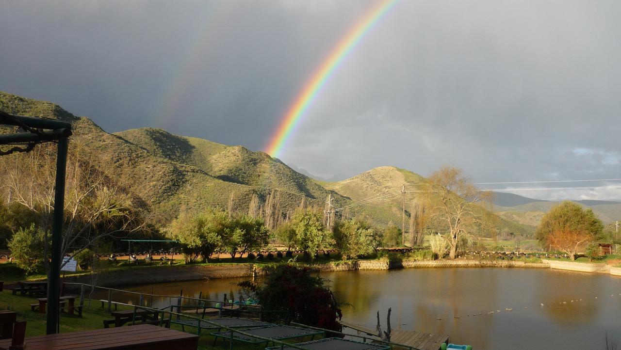 Wilgewandel Holiday Farm & Day Restaurant Oudtshoorn Εξωτερικό φωτογραφία