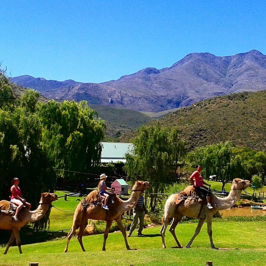 Wilgewandel Holiday Farm & Day Restaurant Oudtshoorn Εξωτερικό φωτογραφία