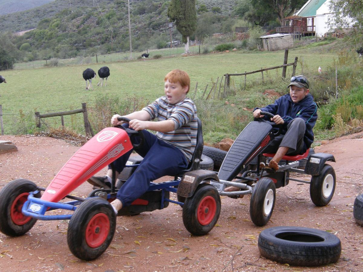 Wilgewandel Holiday Farm & Day Restaurant Oudtshoorn Εξωτερικό φωτογραφία