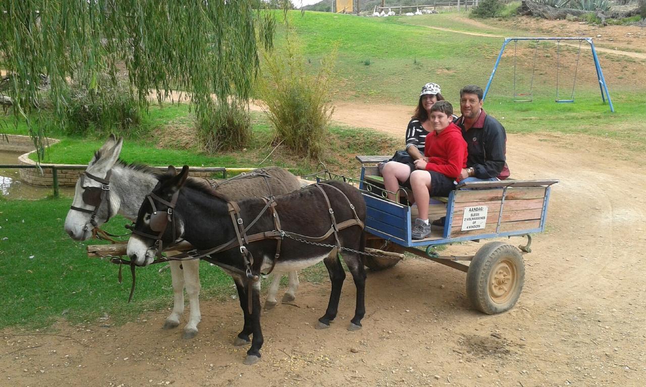 Wilgewandel Holiday Farm & Day Restaurant Oudtshoorn Εξωτερικό φωτογραφία