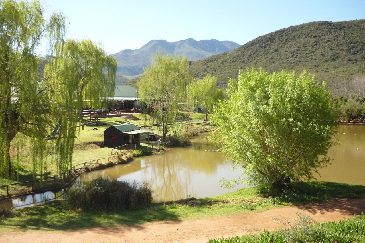 Wilgewandel Holiday Farm & Day Restaurant Oudtshoorn Εξωτερικό φωτογραφία